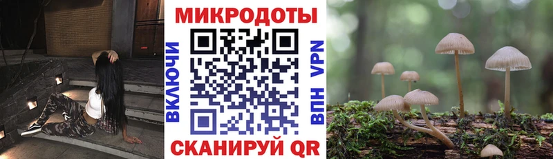 купить закладку Сим ОМГ ОМГ ONION Галлюциногенные грибы Psilocybine cubensis